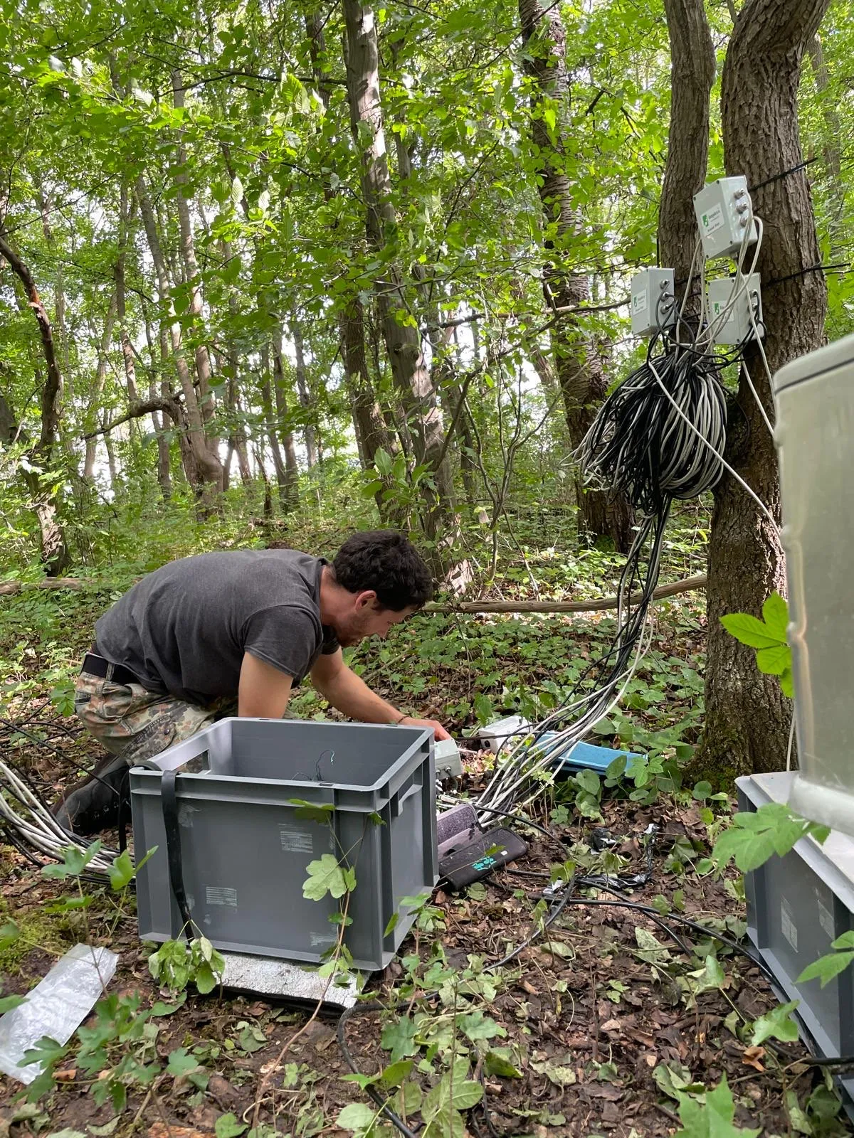 A person on the forest floor, lots of cables and boxes in a big mess, connected to one another